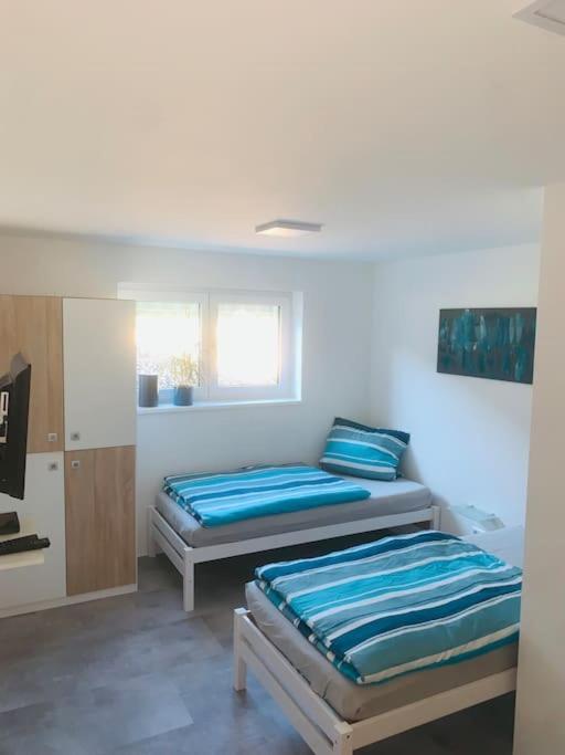Moderne, Helle Ferienwohnung In Au Am Rhein Eksteriør bilde